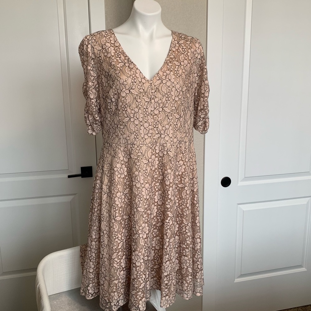 Beautiful Eliza J Lace Dress, Size 18